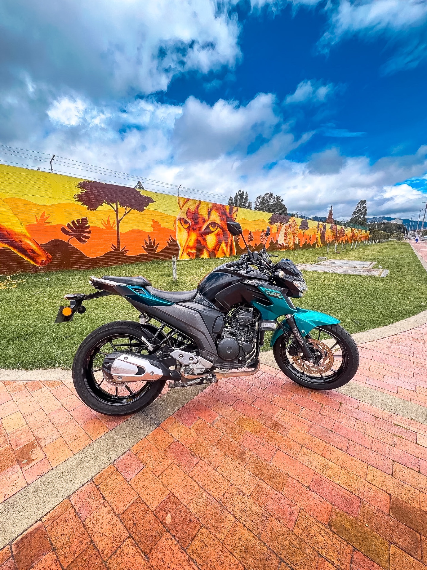 Portada de YAMAHA FZ 250 2021 🔥